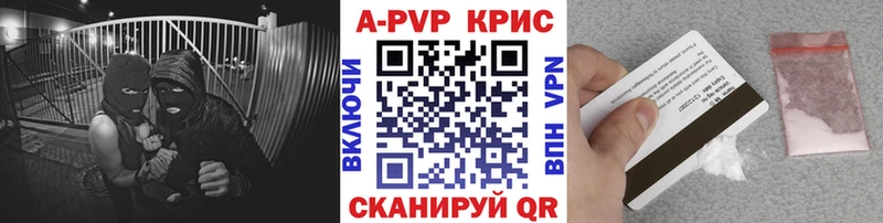 Альфа ПВП СК  Кондопога 
